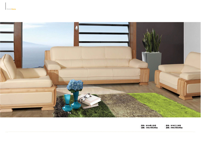 撸撸社下载安装家具集团